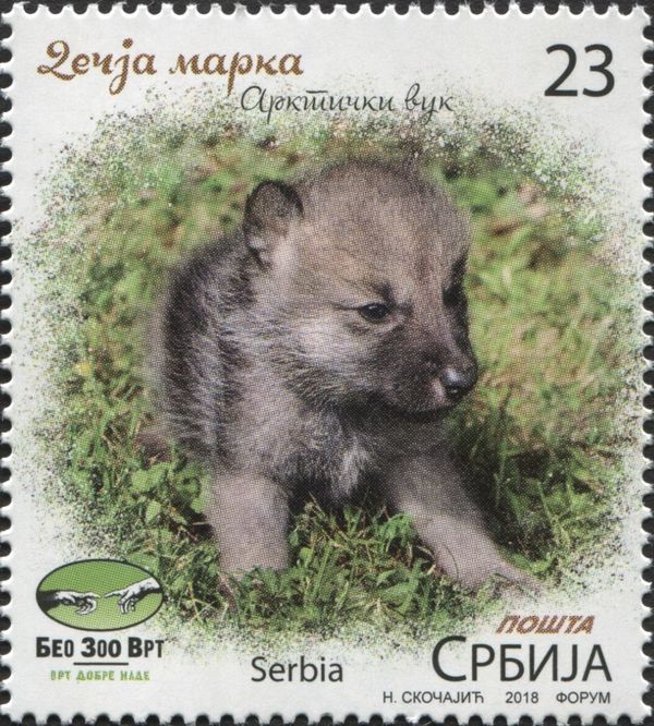 Arczic Wolf