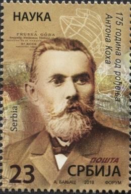Anton Koch