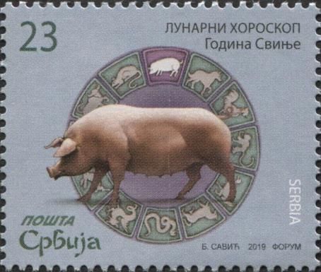 Year of the Pig 2019