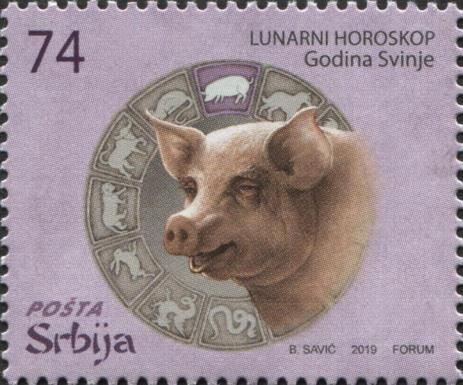 Year of the Pig 2019