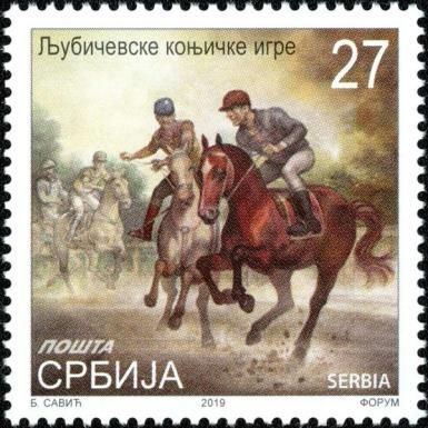 Ljubičevo Equestrian Games, Horse (Equus ferus caballus)