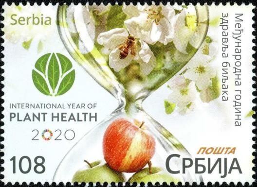 International Year of Plant Health