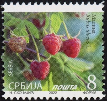 Raspberry (Rubus idaeus L.) 2022 Imprint