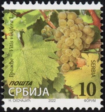 Grapes, Vitis vinifera L. (2022)