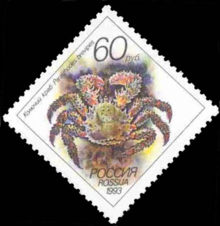 Spiny King Crab (Paralithodes brevipes)