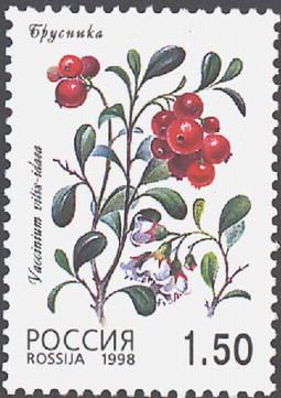 Cowberry (Vaccinium vitis-idaea)