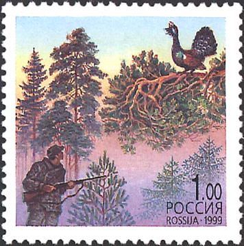 Western Capercaillie (Tetrao urogallus)