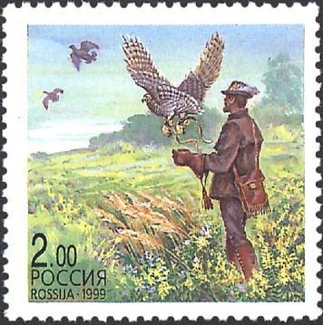 Falconry