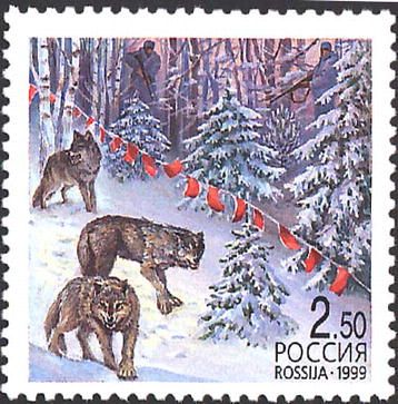 Wolf (Canis lupus)