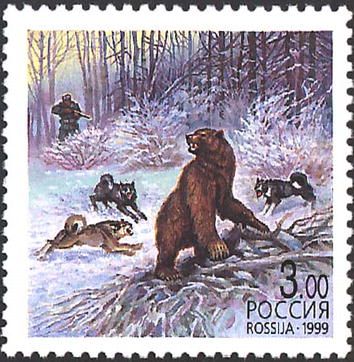 Brown Bear (Ursus arctos)