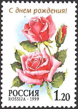 Rose "Karine"