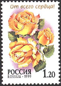 Rose "Glory Dey"