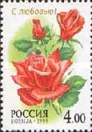 Rose "Ave Maria"