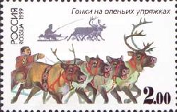 Reindeer Sled Racing