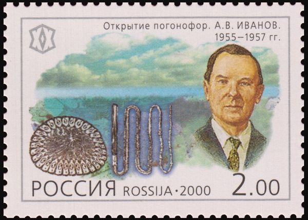 Discovering of Pogonophora, A. Ivanov, 1955-1957