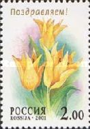 Tulip "Sweet Harmony"