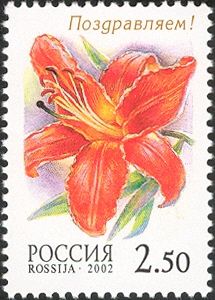 Lily "Cinnabar Lily"