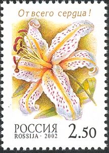Lily "Gilded Lily"