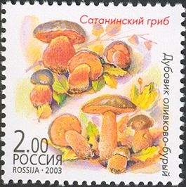 Boletus satanus and Boletus luridus