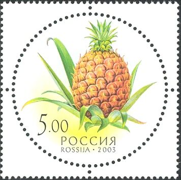 Pineapple