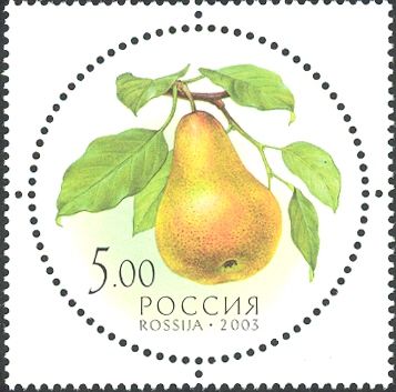 Pear