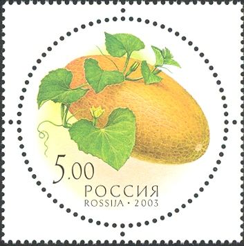 Melon
