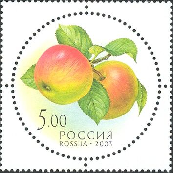 Apples