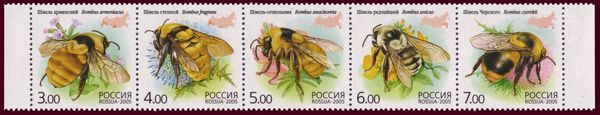 Fauna - Bumblebees