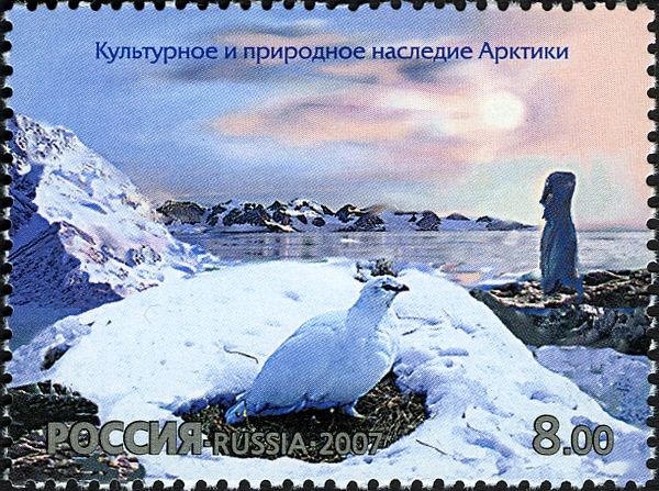 Willow Ptarmigan (Lagopus lagopus)