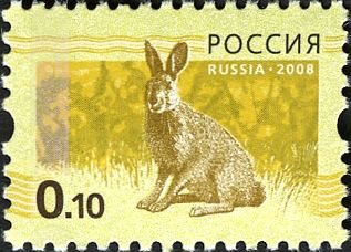 European Hare (Lepus europaeus)