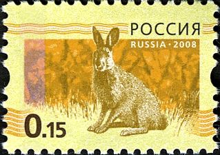 European Hare (Lepus europaeus)