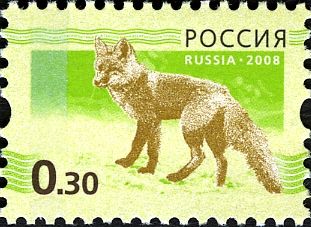 Red Fox (Vulpes vulpes)