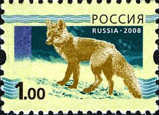 Red Fox (Vulpes vulpes)
