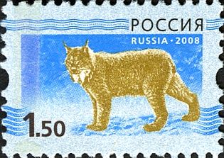 Eurasian Lynx (Lynx lynx)