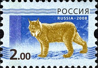 Eurasian Lynx (Lynx lynx)