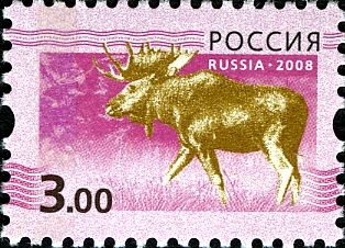Moose (Alces alces)