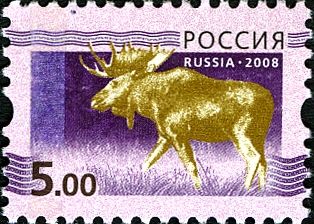 Moose (Alces alces)