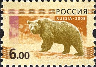 Brown Bear (Ursus arctos)