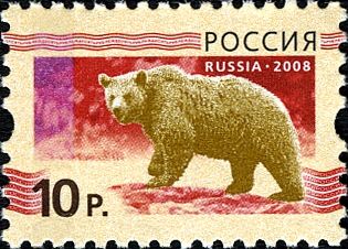 Brown Bear (Ursus arctos)