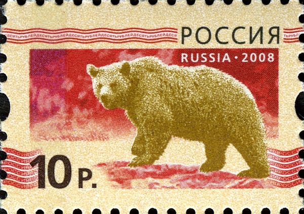 Brown Bear (Ursus arctos)