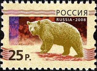 Brown Bear (Ursus arctos)