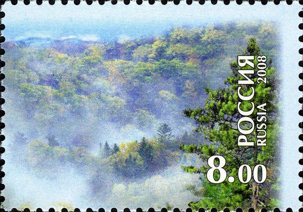 Central Sikhote-Alin - Forest and Mist