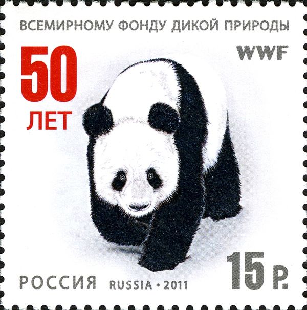 Giant Panda (Ailuropoda melanoleuca)