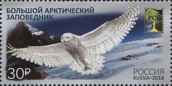 RCC Issue: Great Arctic State Nature Reserve