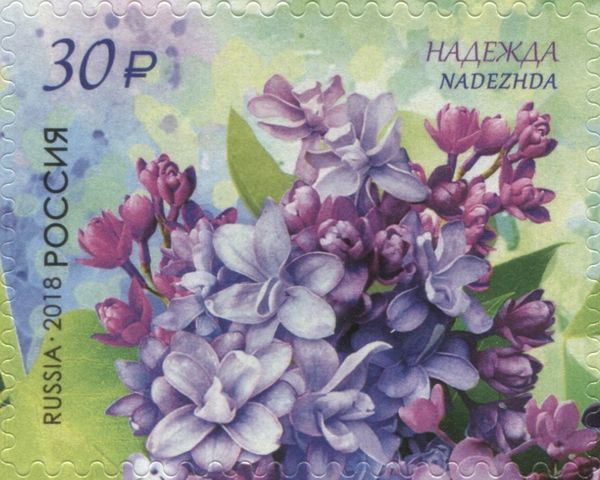 Nadezhda (Hope)