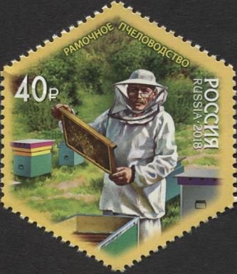 Framework Beekeeping