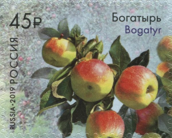 Bogatyr