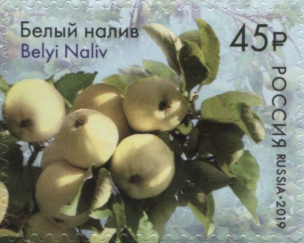 Belyi Naliv
