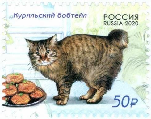 Cats (Kurilian Bobtail)