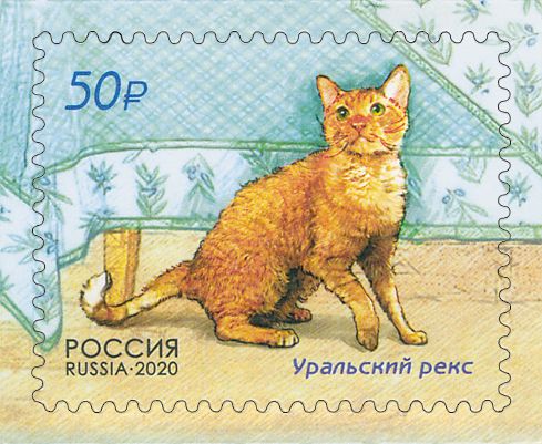 Cats (Ural Rex)
